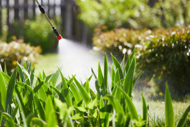 24/7 Emergency Termite Control experts in Centerville, OH